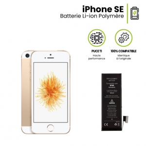 Batterie pour iPhone SE 1624mAh