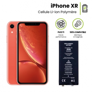 Cellule pour iPhone Xr 2942 mAh